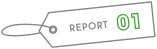 REPORT01