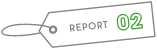 REPORT02